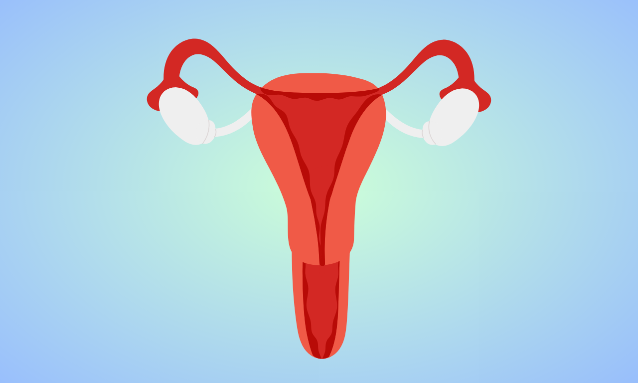 Bagaimana implanon mencegah kehamilan