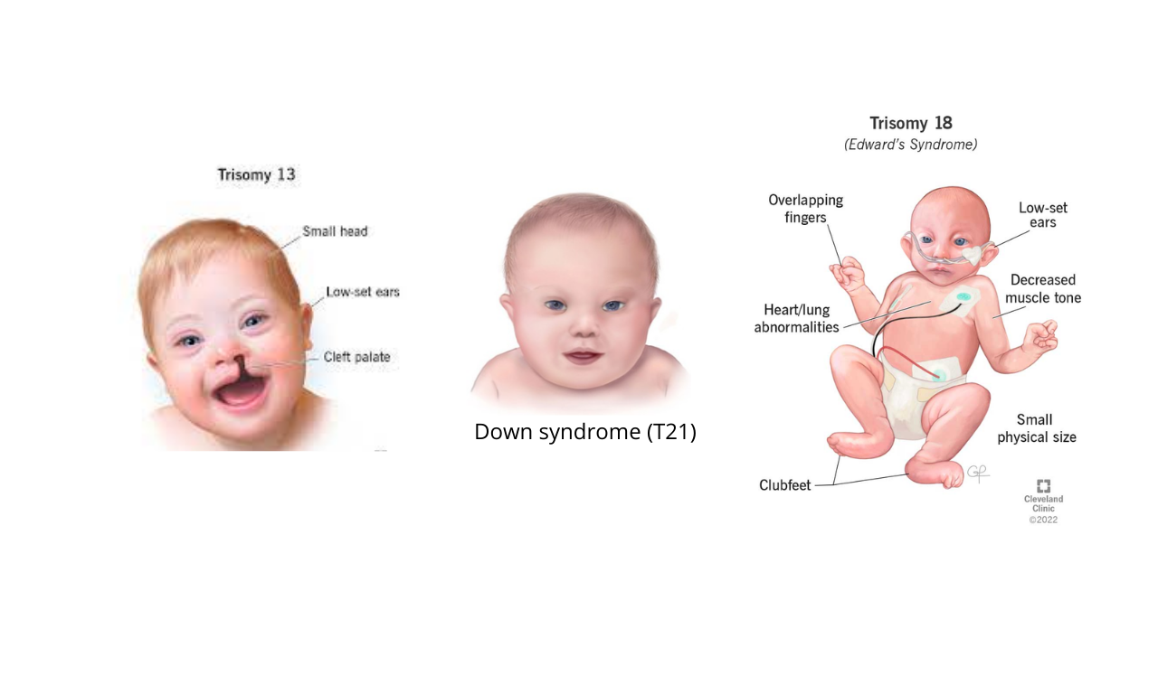 Saringan hasil scan NT